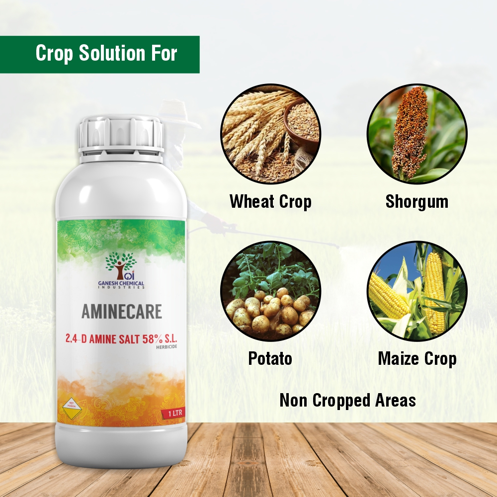 AMINECARE 2,4-D Amine Salt 58% SL